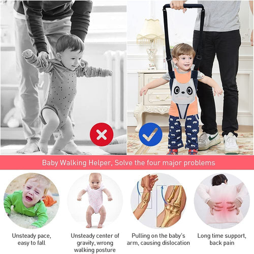 Baby Walking Helper - Adjustable Assistant for Infant Learning with Detachable Harness for 6-36 Months (C)